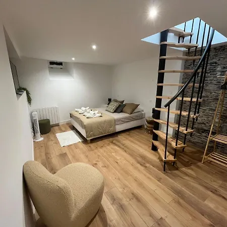 Appartement élégante En Souplex - Gare&centre à Pied *