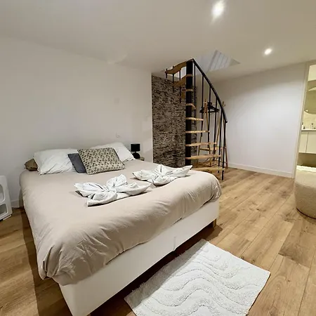 Appartement Elegante En Souplex - Gare & Centre A Pied Angers