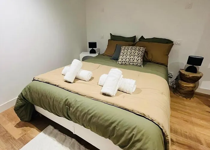 Suite Elegante En Souplex - Gare & Centre A Pied *